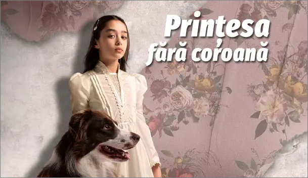 Printesa fara coroana Episodul 26 Online Tradus in Romana